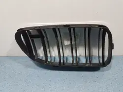 Griglia sinistra 51138050537 BMW M6 F06