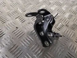 Toyota OEM FBZ5003 Hintertürscharniere - Gebraucht