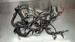 Cableado Motor OEM 55NA10400 para Nissan Qashqai J10