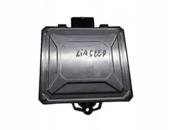 Module GPL OEM 67R-013787 pour Kia Ceed I 1.6