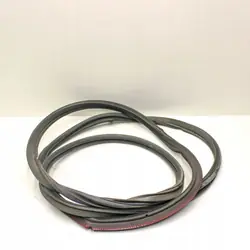 Junta de porta-malas Jaguar XK/XKR OEM C2P4993 - Usado
