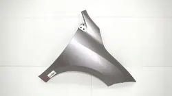 OEM 360167671 Etu-oikea lokasuoja Renault Megane III