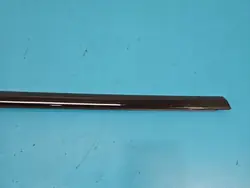 Tesla Model 3 Rechte Hintertürleiste OEM IMPRK1436950