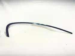 BMW Deur Afdichting Dekking OEM 7390126 Rechts Achter