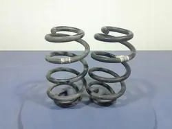 Muelles Traseros BMW OEM Lochow-327235- Usados