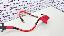 BMW Akunapapula OEM 8796155 8796154