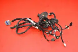 Faisceau Porte Arrière Droit OEM 1004426-00-V Tesla