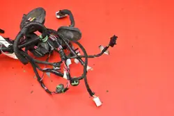 Faisceau Porte Arrière Droit OEM 1004426-00-V Tesla