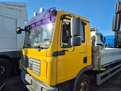 Esqueleto Cabine MAN TGL/TGM OEM - Sem Portas