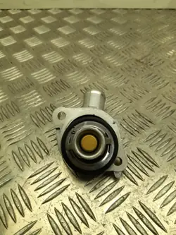 DENI31 Thermostaat voor Nissan JUKE 2022 - Gebruikt