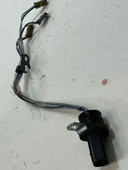 Harness de transmisión OEM 09G - Usado