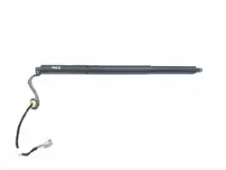Kaasujousi Ford Expedition 2020 OEM KL1B-78402A55-AA