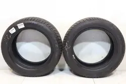 2× Dunlop Winter Sport 4D 205/55R16 91H Begagnad