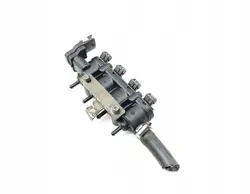 Carril inyector GLP OEM RG1 Medi usado