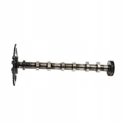 Arbre à cames OEM 059109009FE pour VW Touareg 3.0 TDI