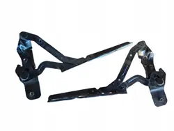 AM51R16800AF AM51R16801AF Ford C-MAX MK2 Dobradiças Capô