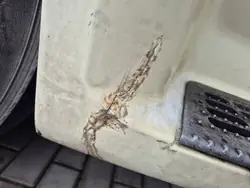 DAF XF 105 Euro 5 oikea porras OEM - Käytetty kunnossa