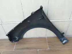 Vorderer rechter Kotflügel Renault Scenic Grand II 03-09 OEM