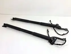 Teleskopstütze-Set OEM 7263155 für BMW F31