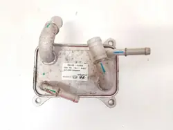 Hyundai OEM 256103D100 vaihteistoöljynjäähdytin