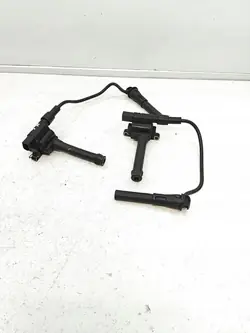 Bobina di accensione MG 6 1.8 T 0040100501