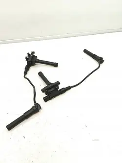 Sytytyspuola MG 6 1.8 T 0040100501