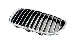 BMW 5 F10 Linker grille nier 51137261355