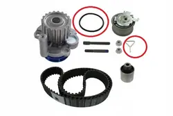 SKF VKMC 01250-1 Bomba de agua + Kit de correa de distribución
