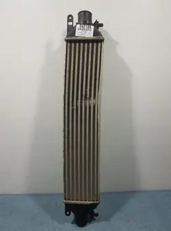 Intercooler OEM 866455500 para Fiat Bravo 1.4 JTD