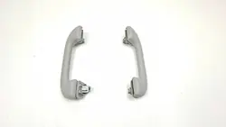 Mango de techo delantero Jeep Compass 2019