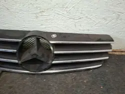 Mercedes-Benz OE A2098800023 grille