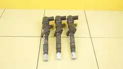 Einspritzdüse OEM 0445110141 für Renault Master 2.5 DCI