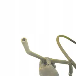 Flexible de direction assistée OEM JUT155592 pour Citroen