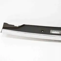 OEM 7194176 BMW Luz de Matrícula - Usado