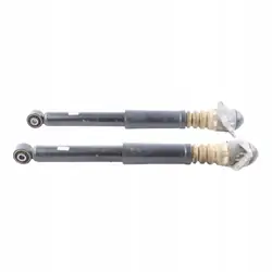 Sachs 30-D71-A Achter Schokdempers & Armen Set