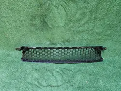 Griglia paraurti anteriore Lexus OE 53113-53060