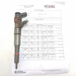 Inyector de combustible BMW 5 E60 E61 2005