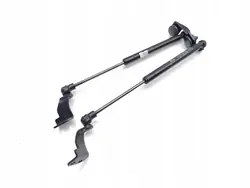 Amortisseur hayon OEM 82553891300 pour Chevrolet Captiva SUV