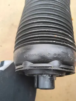 Mola de ar suspensão traseira Lexus NX II OEM