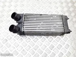 2010 Peugeot 3008 Radiateur 1600hdi 9656503980