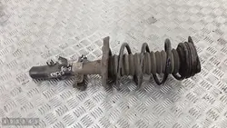 Renault OE AM-493845 Schokdemper - Gebruikt
