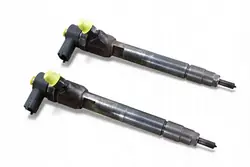 Inyector HYUNDAI IX35 KIA SPORTAGE III 2.0 CRDI 33800-2F300