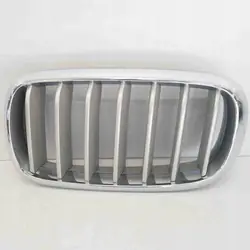 Linke Kühlergrill BMW X5 F15 2014