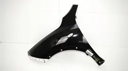 Fram vänster stänkskärm OEM 360150510 Nissan Juke F15