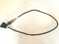 Sensor de Quatro Fios Volkswagen Audi Substituição Bosch 0258003518