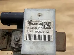 Câblage de terminal négatif Ford 095YWSW25