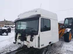 Komplette Kabine DAF XF 105 2013 mit Säule - OEM
