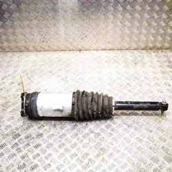 Hinterer linker Luftstoßdämpfer Tesla Model S OEM 106746126B