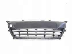 Stoßstangenraster Hyundai i20 I 2008-2012 OEM