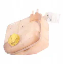 Koelvloeistofreservoir Ford Transit Connect Mk1 98AB-8K218-AK